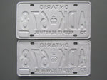 1973 YOM Clear Ontario License Plates