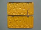 1924 YOM Clear Ontario License Plates